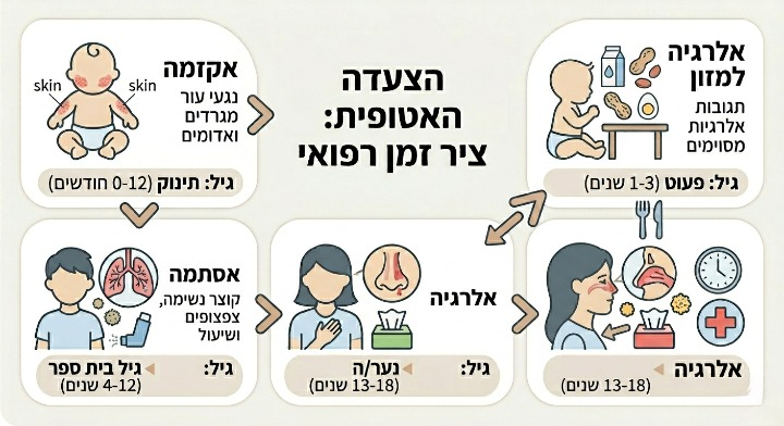 אינפוגרפיקה בעברית של הצעדה האטופית: חמישה שלבים מאקזמה בינקות דרך אלרגיית מזון ואסטמה ועד אלרגיות בגיל ההתבגרות