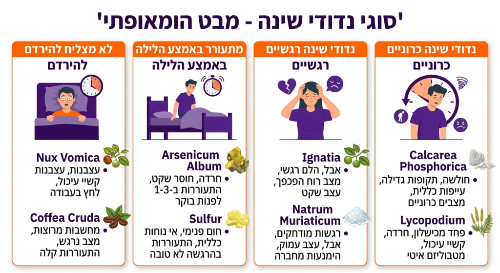 אינפוגרפיקה המציגה ארבעה סוגי נדודי שינה ותרופות הומאופתיות מתאימות