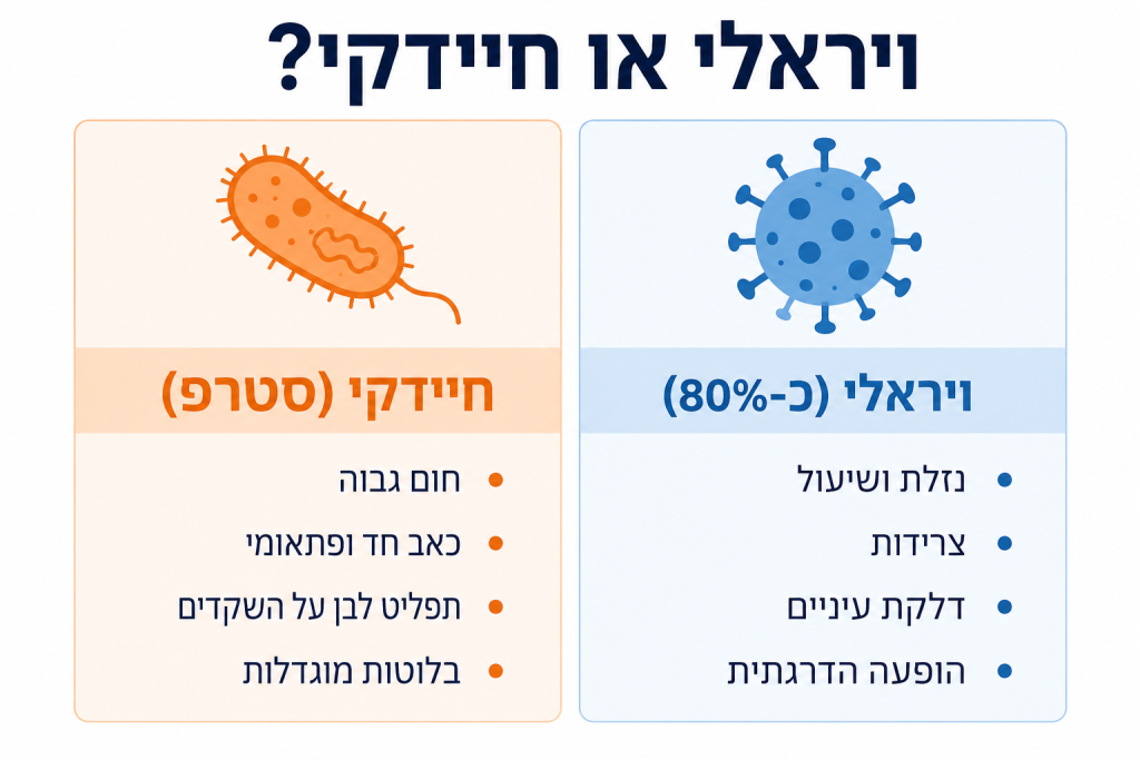 אינפוגרפיה המשווה בין דלקת גרון ויראלית לחיידקית בשני טורים בעברית