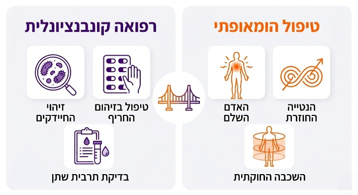 אינפוגרפיה דו-טורית המשווה תפקיד הרפואה הקונבנציונלית לתפקיד ההומאופתיה